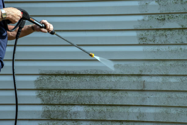 Best Patio and Deck Pressure Washing  in Hamburg, IA